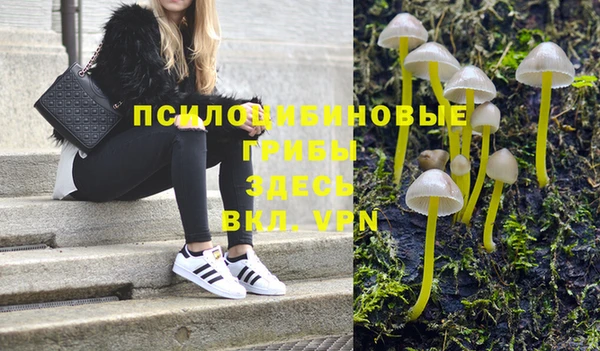 крисы Армянск