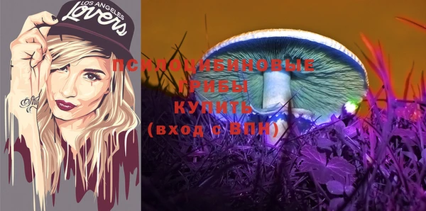 амф Аркадак